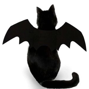 ailes de chauve souris pour chat accessoires chat au bonheur du chat boutique daccessoires pour votre chat 229071