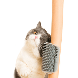 brosse a gratter pour chat accessoires chat au bonheur du chat boutique daccessoires pour votre chat 830416