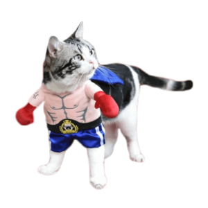 costume pour chat boxeur costume pour chat au bonheur du chat boutique daccessoires pour votre chat 238890