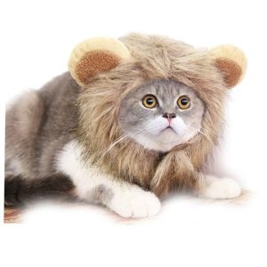 costume pour chat lion costume pour chat au bonheur du chat boutique daccessoires pour votre chat 852383