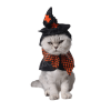 costume pour chat sorciere accessoires chat au bonheur du chat boutique daccessoires pour votre chat 432353