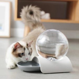 fontaine a eau boule de cristal accessoires chat au bonheur du chat boutique daccessoires pour votre chat 740402