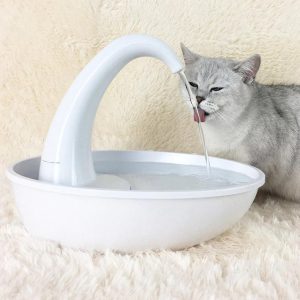fontaine a eau pour chat doux eclat fontaine a eau pour chat au bonheur du chat boutique daccessoires pour votre chat 482992