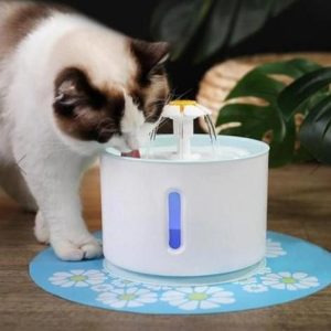 fontaine a eau pour chat fleur accessoires chat au bonheur du chat boutique daccessoires pour votre chat 796873