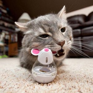 gamelle interactive pour chat souris accessoires chat au bonheur du chat boutique daccessoires pour votre chat 687031