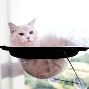 hamac de fenetre transparent tete de chat hamac pour chat au bonheur du chat boutique daccessoires pour votre chat 125701