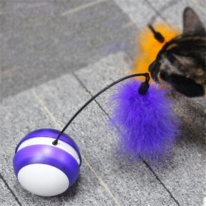 jouet electrique pour chat attrape moi accessoires chat au bonheur du chat boutique daccessoires pour votre chat 634629
