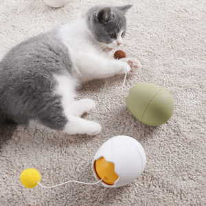 jouet pour chat egg foly jouet pour chat au bonheur du chat boutique daccessoires pour votre chat 727668