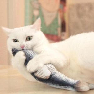 jouet pour chat poisson gigoteur accessoires chat au bonheur du chat boutique daccessoires pour votre chat 727774