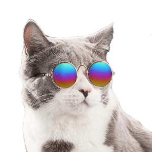 lunettes pour chat sunny accessoires chat au bonheur du chat boutique daccessoires pour votre chat 284676