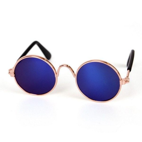 lunettes pour chat sunny accessoires chat au bonheur du chat boutique daccessoires pour votre chat bleu 731007