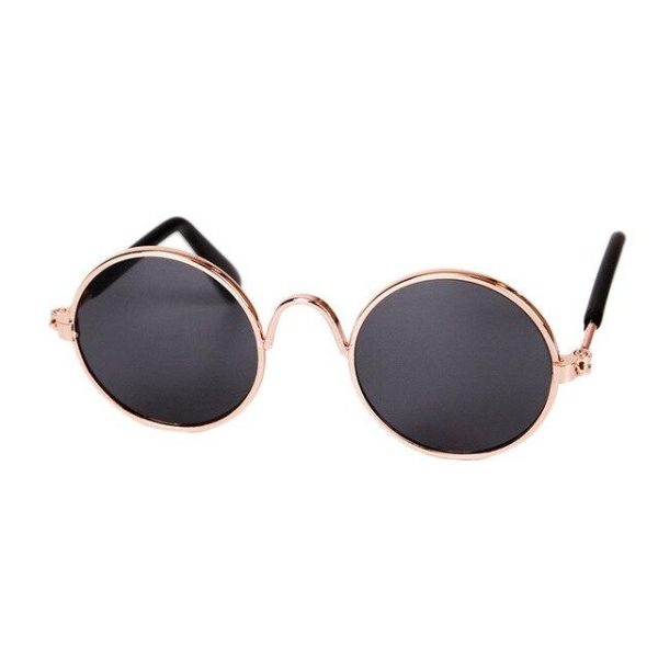 lunettes pour chat sunny accessoires chat au bonheur du chat boutique daccessoires pour votre chat noir 578425