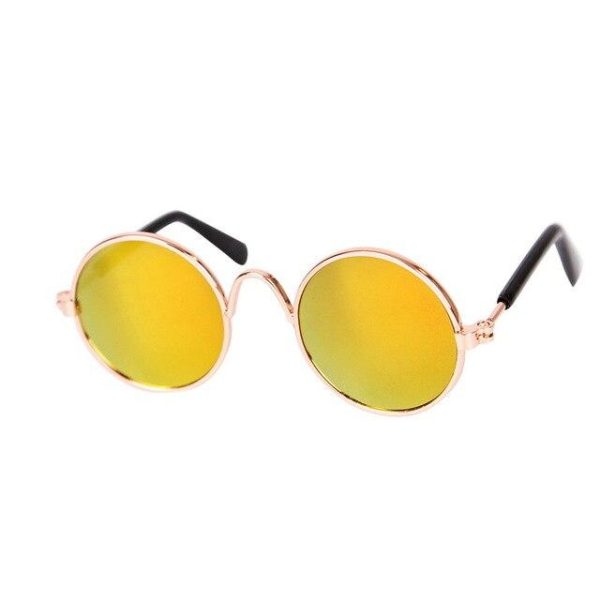 lunettes pour chat sunny accessoires chat au bonheur du chat boutique daccessoires pour votre chat orange 866194