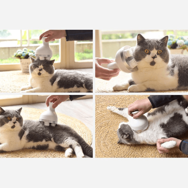 masseur pour chat catrelax masseur pour chat au bonheur du chat boutique daccessoires pour votre chat 426872