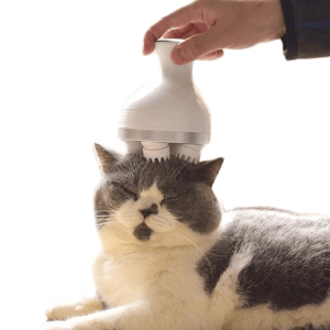 masseur pour chat catrelax masseur pour chat au bonheur du chat boutique daccessoires pour votre chat 709196