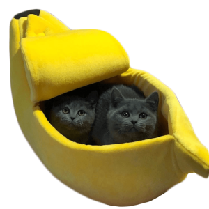 niche pour chat bananacat accessoires chat au bonheur du chat boutique daccessoires pour votre chat 525824
