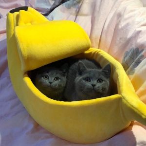 niche pour chat bananacat accessoires chat au bonheur du chat boutique daccessoires pour votre chat 564718