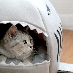 niche pour chat requin accessoires chat au bonheur du chat boutique daccessoires pour votre chat 998199