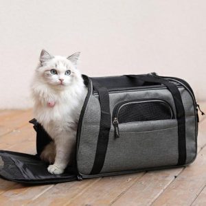 sac de transport pour chat a bandouliere accessoires chat au bonheur du chat boutique daccessoires pour votre chat 722431